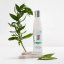 DSD de Luxe 003 - detoxikační čistící šampon 200 ml